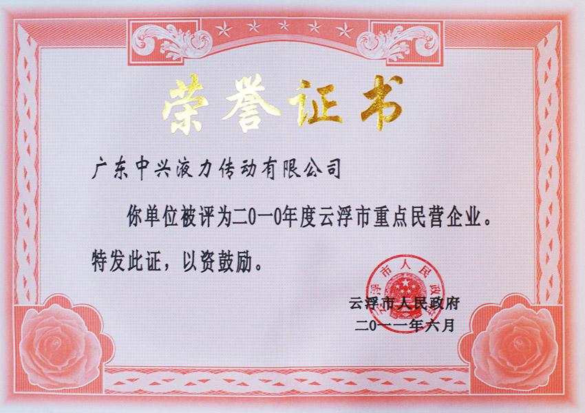 2010年度支浮市重點(diǎn)民營企業(yè)證書（2011）